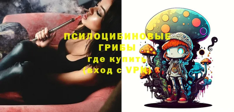 Псилоцибиновые грибы Psilocybe  Ухта 